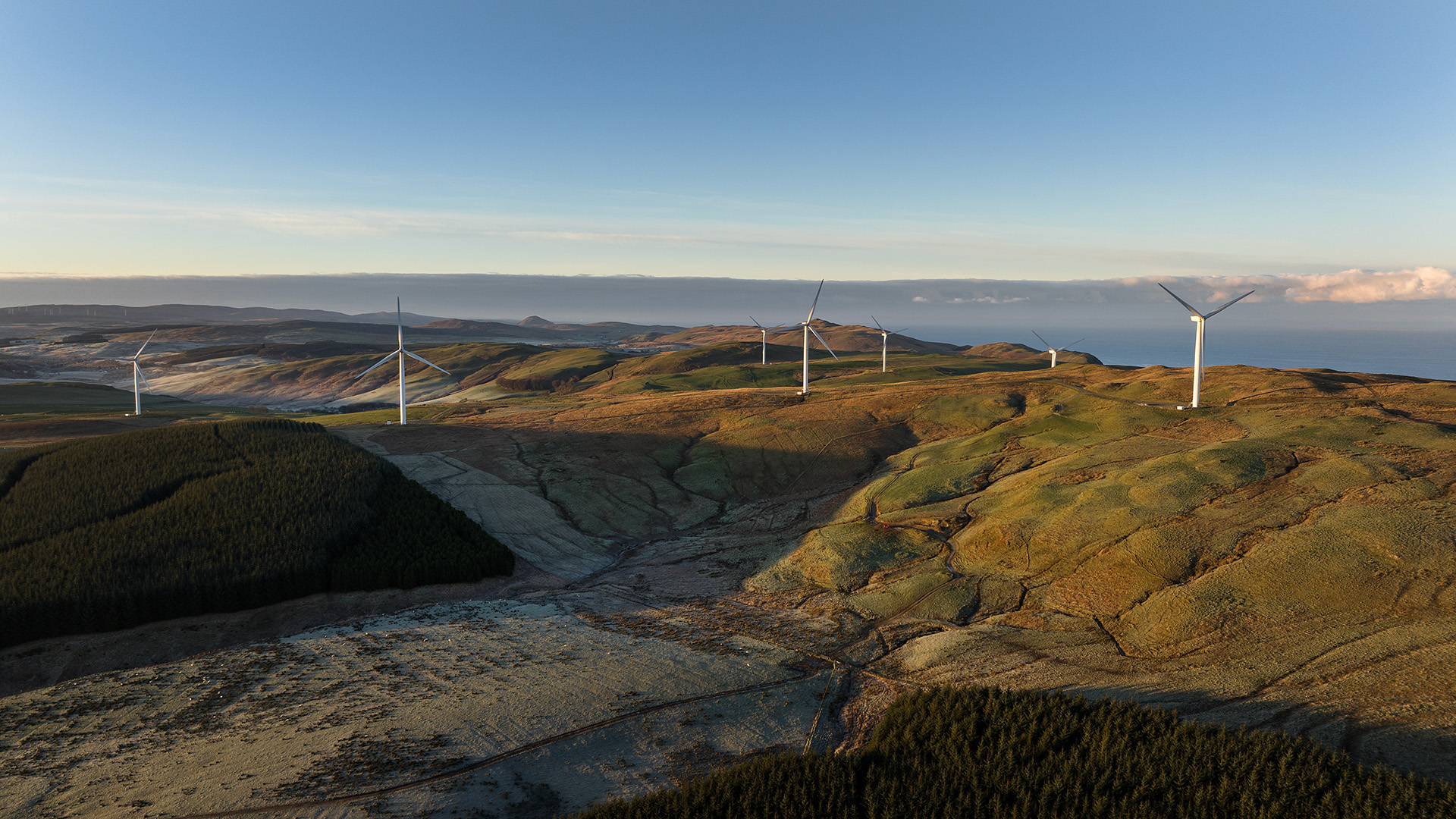 ASV_Gallery_DJI_0704.jpg