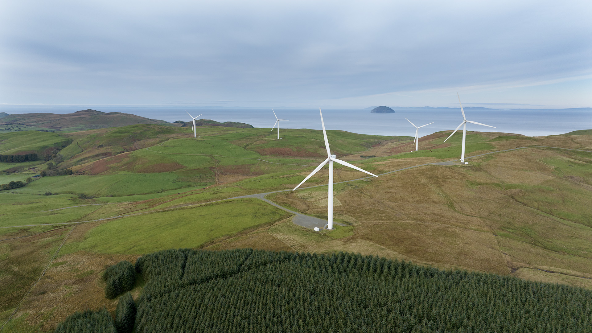 ASV_Gallery_DJI_0262.jpg