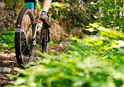 detail-of-the-wheels-of-a-mountain-bike-riding-on-a-forest-road-concept-of-sport-and-healthy-lifestyle-in-nature-copy-space-for-text-2C9Y6Y1.jpg