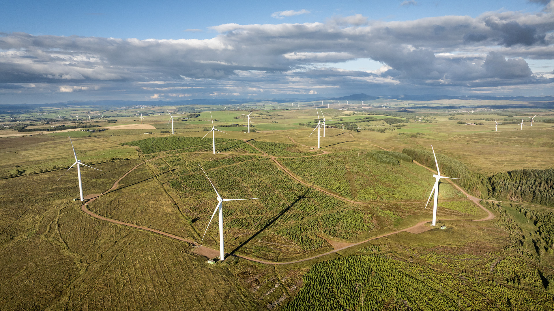 AUC_Gallery_DJI_0331.jpg