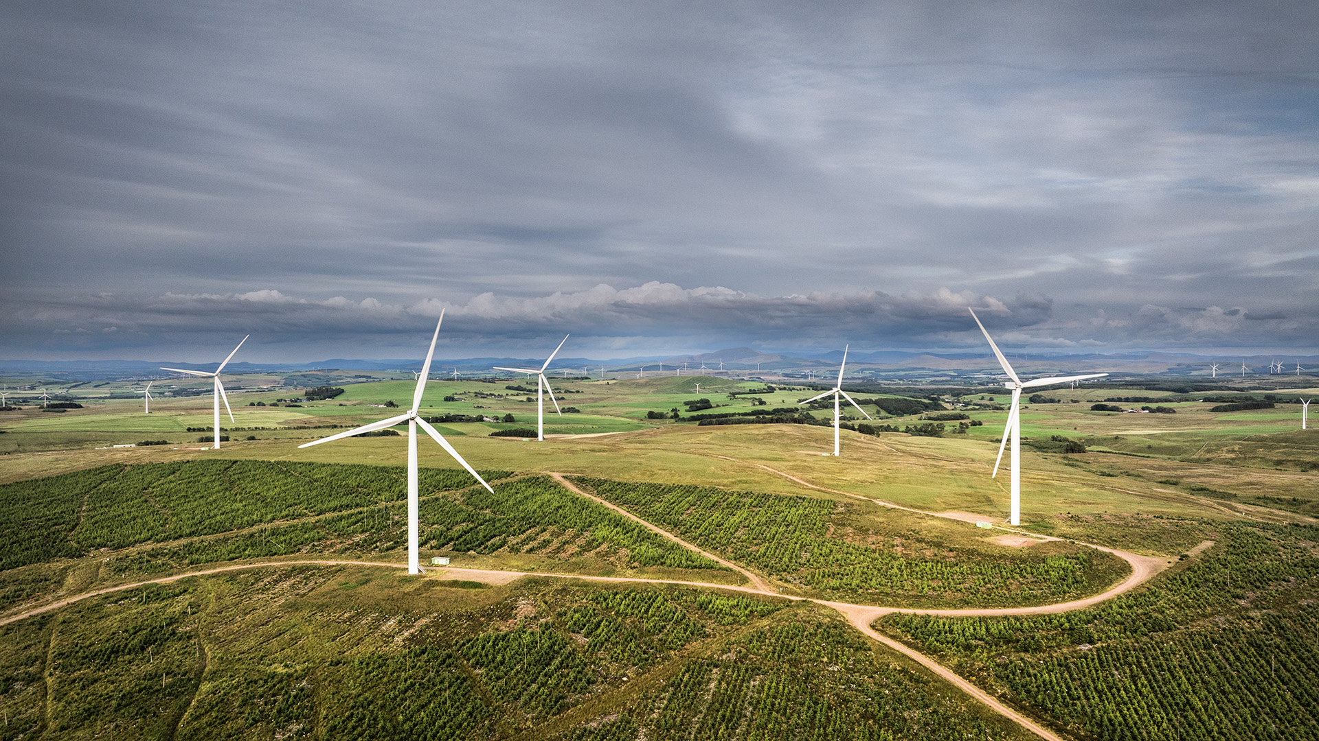 AUC_Gallery_DJI_0759.jpg