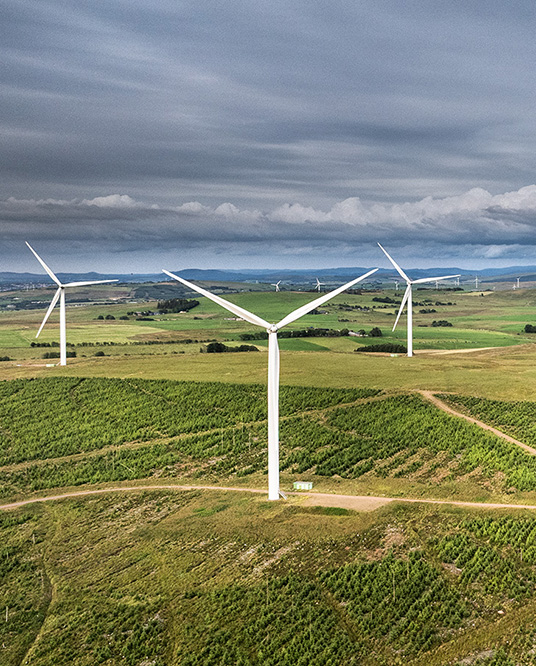 AUC_Grid_DJI_0766B.jpg