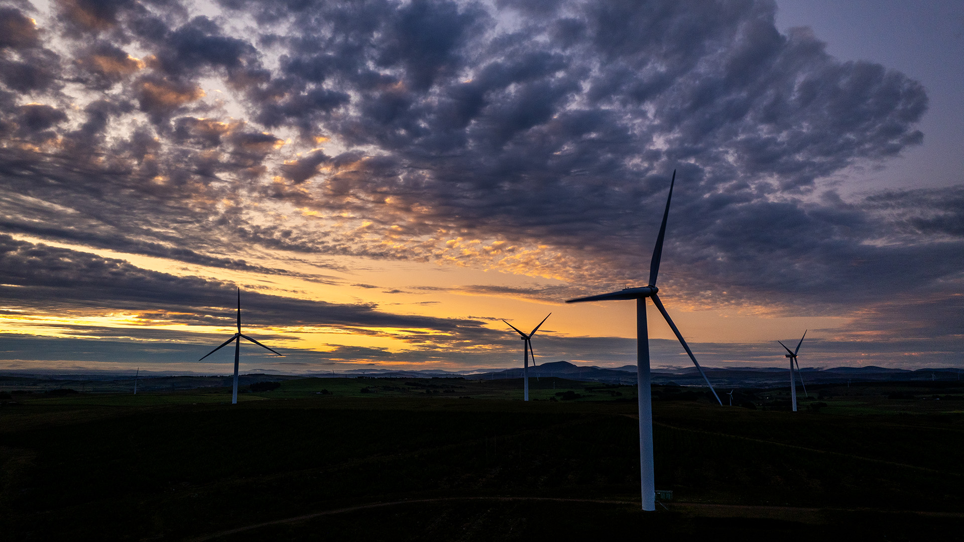 AUC_Gallery_DJI_0891B.jpg