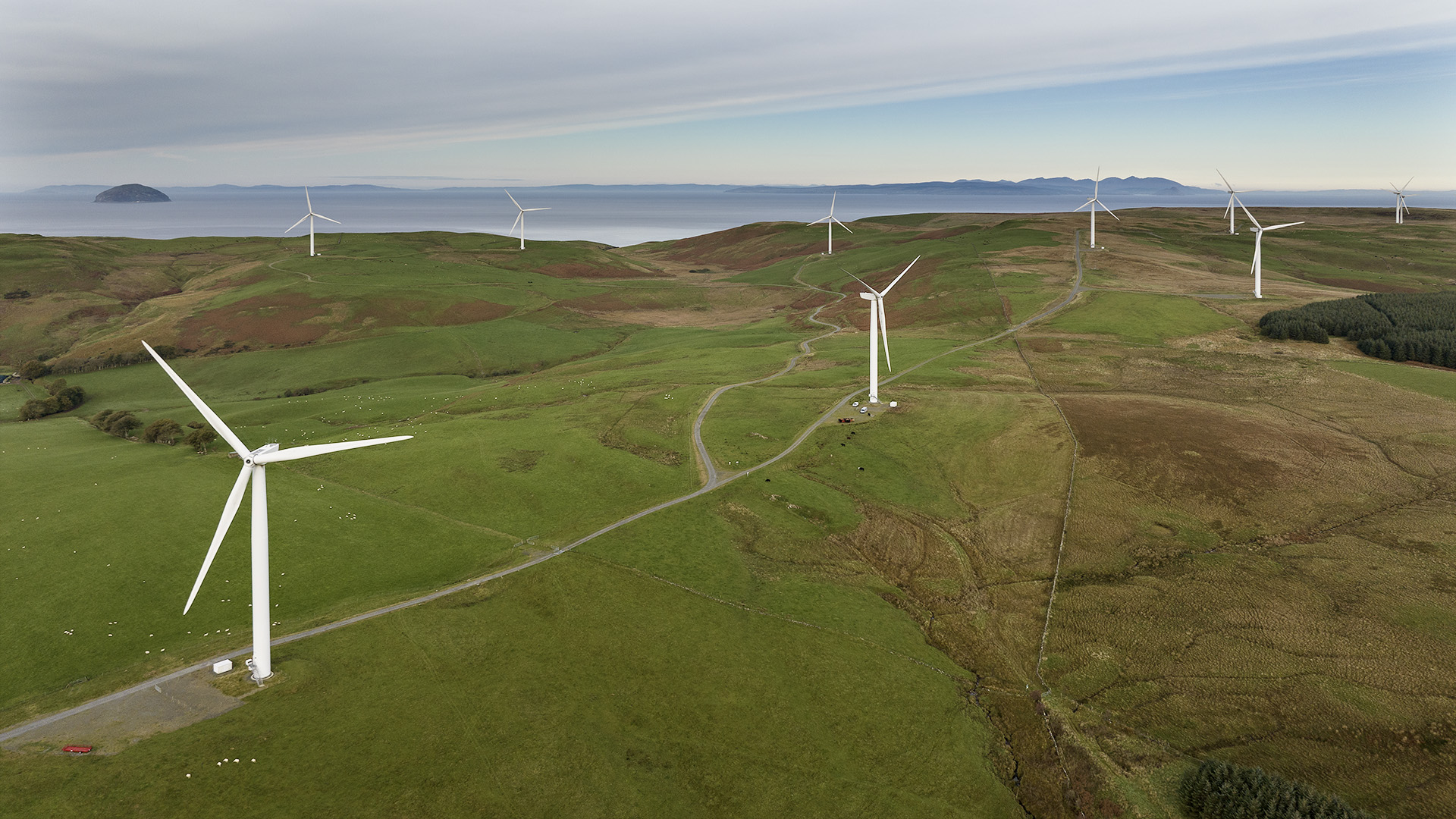 ASV_Gallery_DJI_0275.jpg