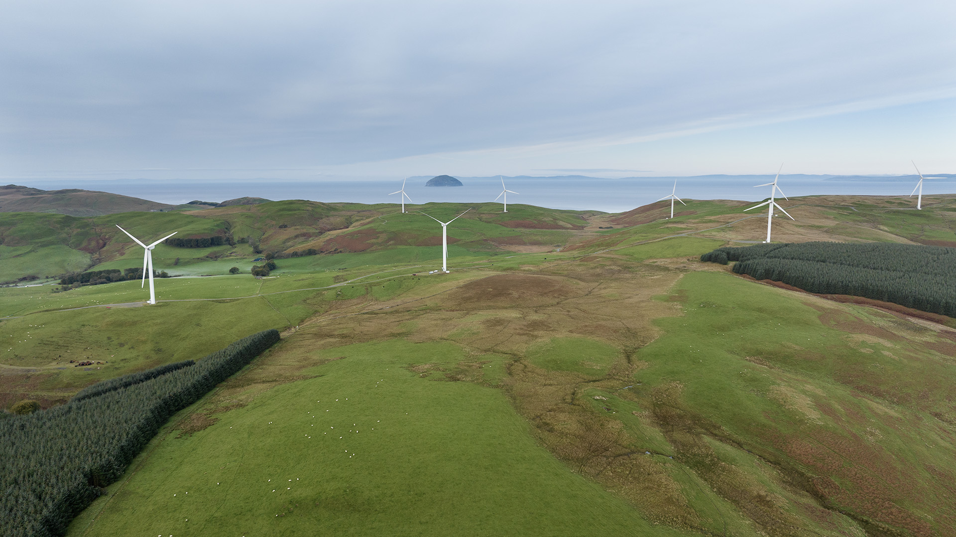 ASV_Gallery_DJI_0255.jpg
