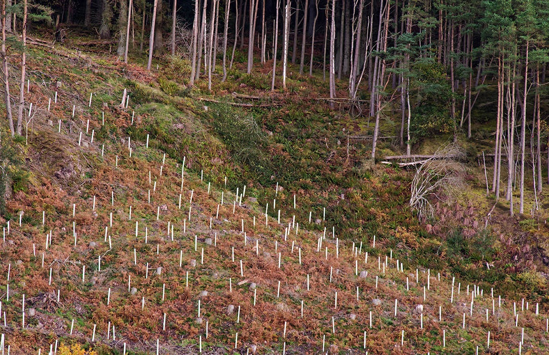 Sustainability_iStock-1815548763.jpg