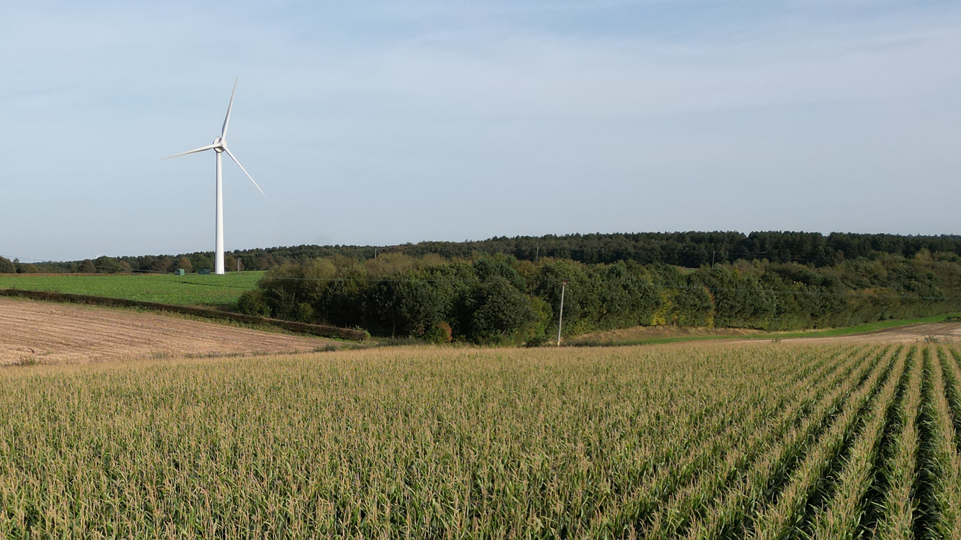 CAM_Gallery_DJI_0272.jpg